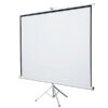 Projector screen 200cm*200cm