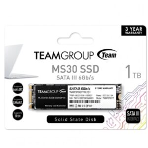 TEAMGROUP 1TB M.2 DOUBLE CUT SSD MS30