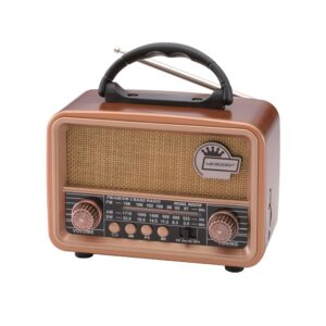 MICRODIGIT PORTABLE BLUETOOTH RADIO SPEAKER MD011R