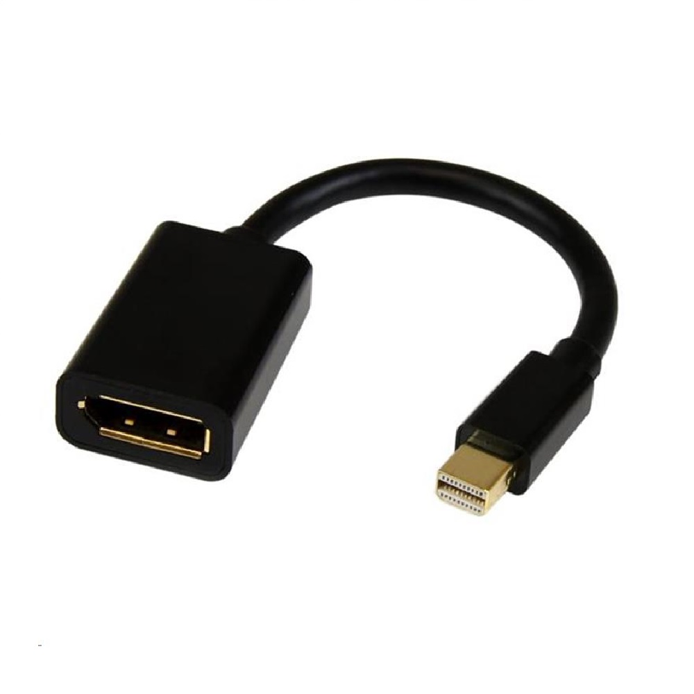 MINI DP MALE TO DP FEMALE CONVERTER